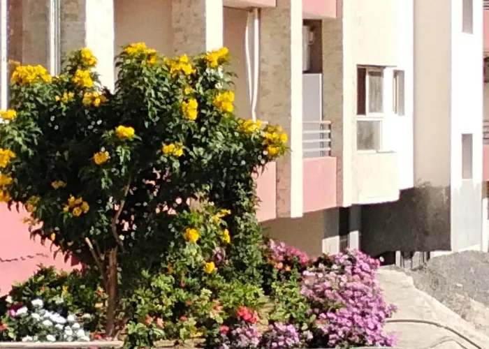 Apart Otel Luxury Studio, Pool, Private & Close To Airport